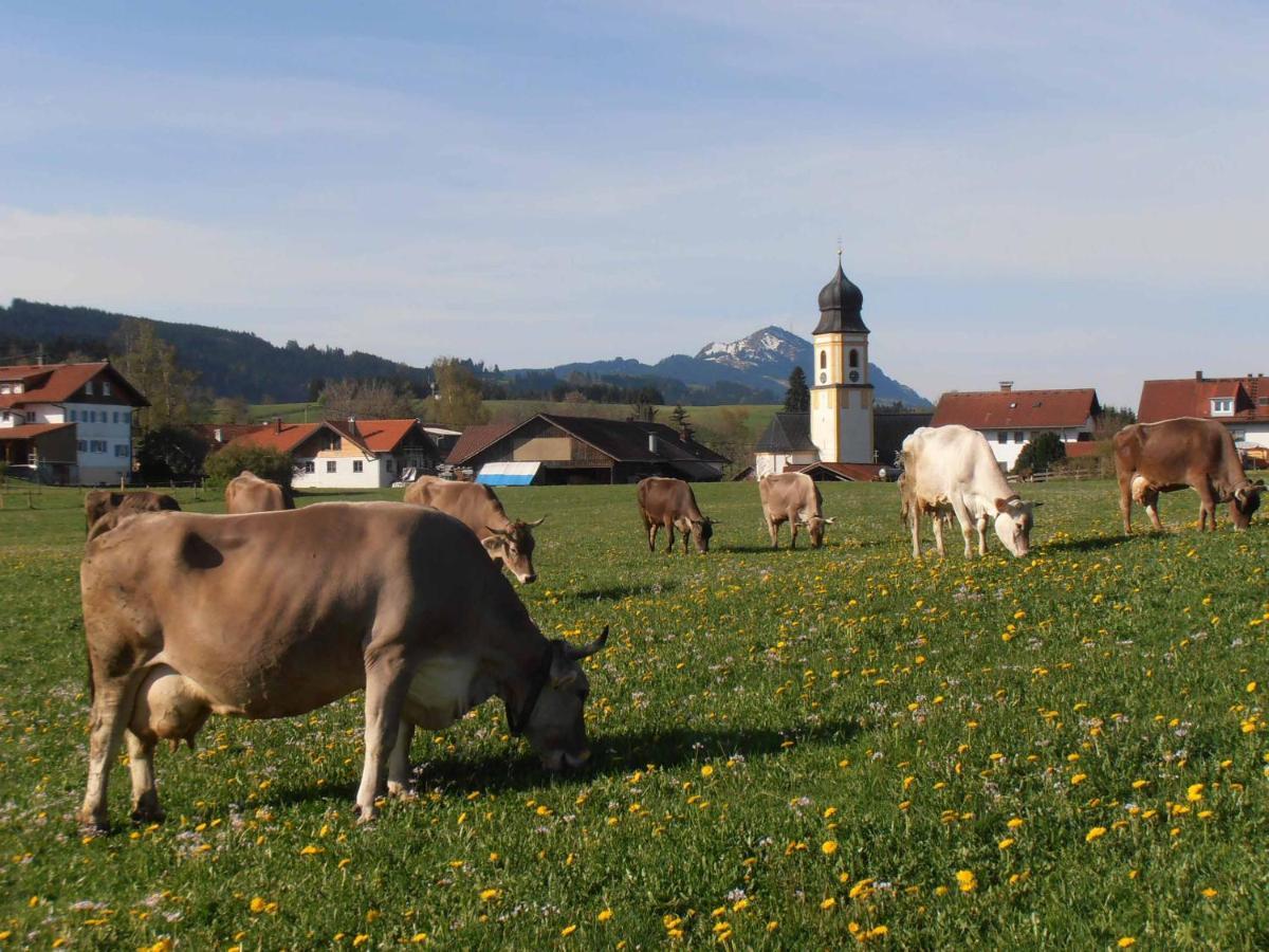 Fewo Herp Oy-Mittelberg Exterior photo